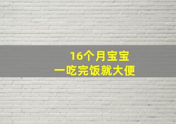 16个月宝宝一吃完饭就大便