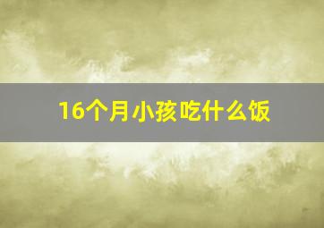 16个月小孩吃什么饭