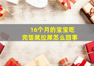 16个月的宝宝吃完饭就拉屎怎么回事