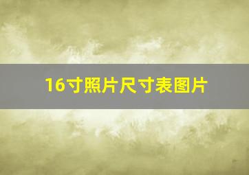 16寸照片尺寸表图片