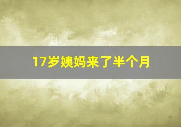 17岁姨妈来了半个月