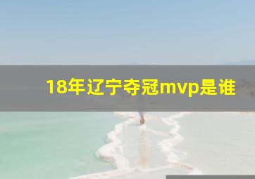 18年辽宁夺冠mvp是谁