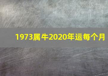 1973属牛2020年运每个月