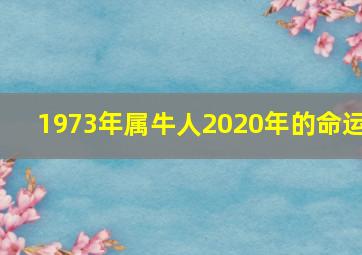 1973年属牛人2020年的命运