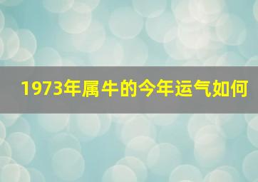 1973年属牛的今年运气如何