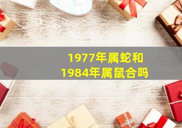 1977年属蛇和1984年属鼠合吗