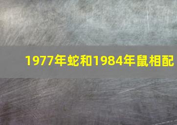 1977年蛇和1984年鼠相配