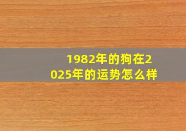 1982年的狗在2025年的运势怎么样