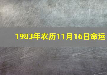 1983年农历11月16日命运