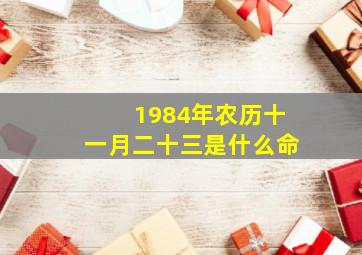 1984年农历十一月二十三是什么命