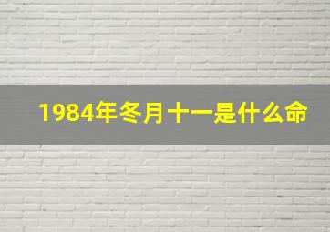 1984年冬月十一是什么命