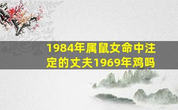 1984年属鼠女命中注定的丈夫1969年鸡吗