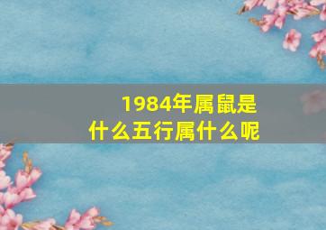 1984年属鼠是什么五行属什么呢