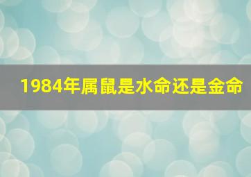 1984年属鼠是水命还是金命