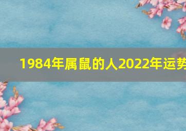 1984年属鼠的人2022年运势