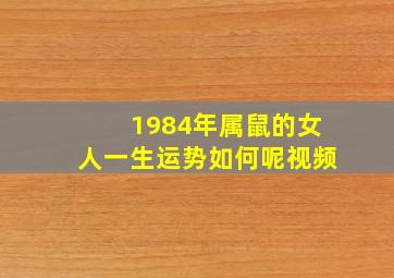 1984年属鼠的女人一生运势如何呢视频