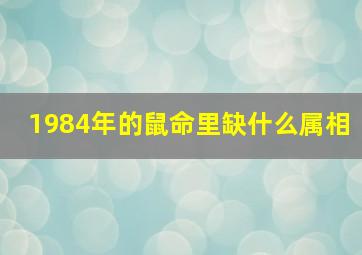 1984年的鼠命里缺什么属相