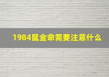 1984鼠金命需要注意什么