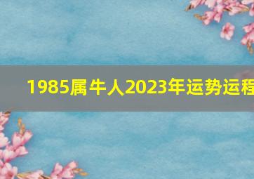 1985属牛人2023年运势运程