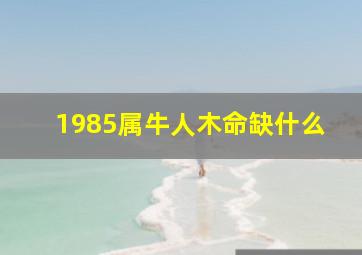 1985属牛人木命缺什么