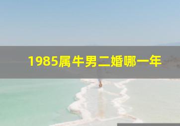 1985属牛男二婚哪一年