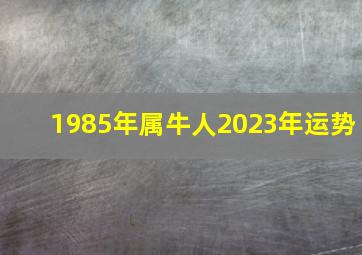 1985年属牛人2023年运势