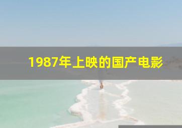 1987年上映的国产电影