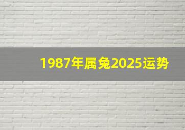 1987年属兔2025运势