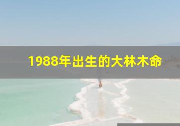 1988年出生的大林木命