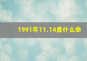 1991年11.14是什么命