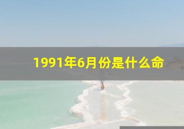 1991年6月份是什么命