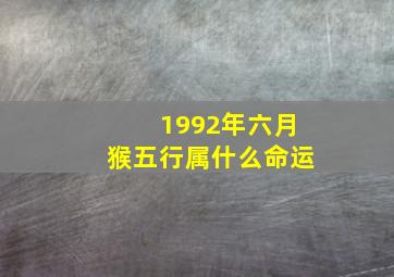 1992年六月猴五行属什么命运