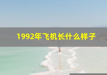 1992年飞机长什么样子