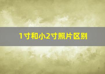 1寸和小2寸照片区别