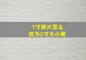 1寸照片怎么改为2寸大小呢