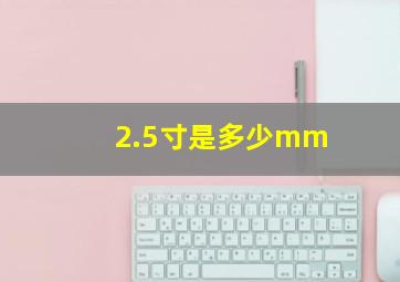 2.5寸是多少mm