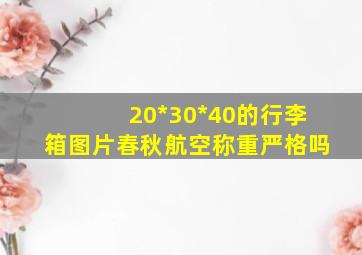 20*30*40的行李箱图片春秋航空称重严格吗