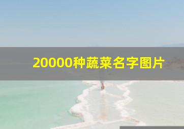 20000种蔬菜名字图片