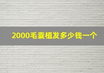 2000毛囊植发多少钱一个