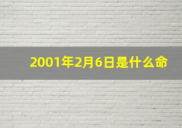 2001年2月6日是什么命