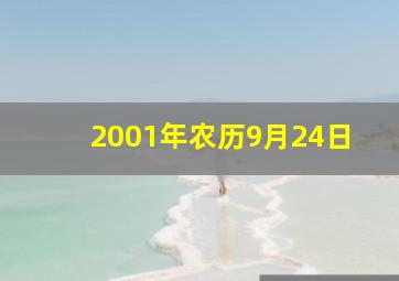 2001年农历9月24日