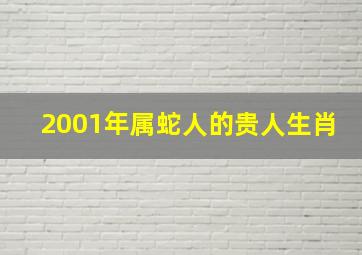 2001年属蛇人的贵人生肖