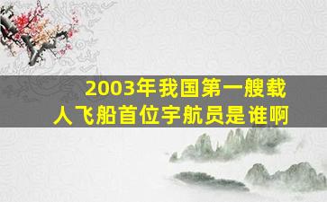 2003年我国第一艘载人飞船首位宇航员是谁啊