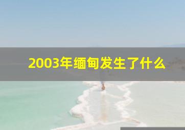 2003年缅甸发生了什么