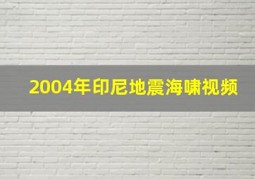 2004年印尼地震海啸视频