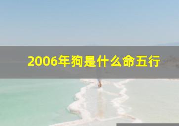 2006年狗是什么命五行