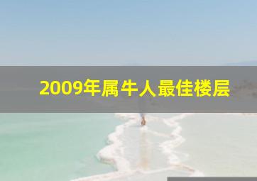 2009年属牛人最佳楼层