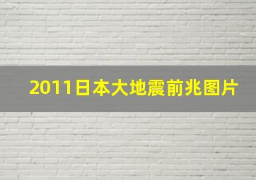 2011日本大地震前兆图片