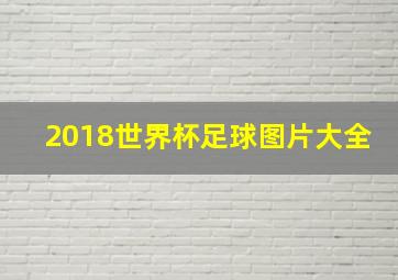 2018世界杯足球图片大全