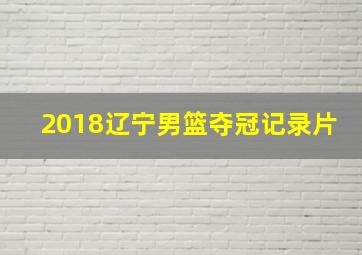 2018辽宁男篮夺冠记录片